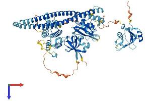 AlphaFold protein structure predicition of Mouse Recombinant Pik3r2 Protein, UniprotID O08908