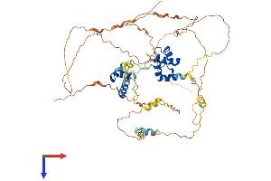 AlphaFold protein structure predicition of Mouse Recombinant Mier2 Protein, UniprotID Q3U3N0