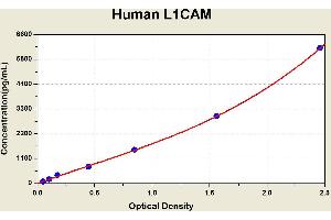 Diagramm of the ELISA kit to detect Human L1CAMwith the optical density on the x-axis and the concentration on the y-axis. (L1CAM Kit ELISA)