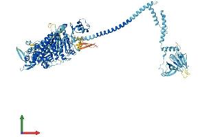 AlphaFold protein structure predicition of Mouse Recombinant Myo1c Protein, UniprotID Q9WTI7