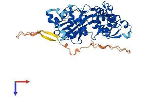 AlphaFold protein structure predicition of Mouse Recombinant Actl7a Protein, UniprotID Q9QY84
