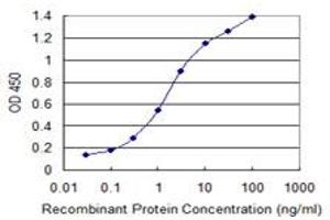 Detection limit for recombinant GST tagged ARL6IP4 is 0. (ARL6IP4 anticorps  (AA 261-360))