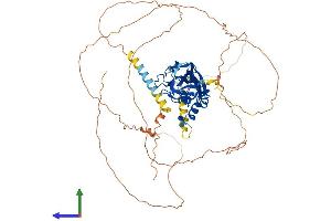 AlphaFold protein structure predicition of Mouse Recombinant Tbx18 Protein, UniprotID Q9EPZ6