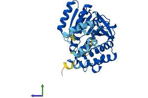 AlphaFold protein structure predicition of Mouse Recombinant Hsd17b7 Protein, UniprotID O88736