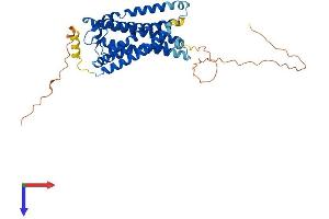 AlphaFold protein structure predicition of Human Recombinant GPR182 Protein, UniprotID O15218