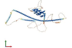 AlphaFold protein structure predicition of Human Recombinant KAZN Protein, UniprotID Q674X7