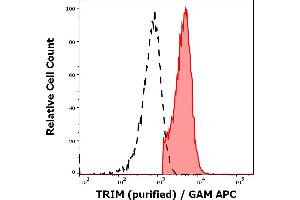 Separation of human CD3 positive TRIM positive lymphocytes (red-filled) from neutrophil granulocytes (black-dashed) in flow cytometry analysis (intracellular staining) of peripheral whole blood stained using anti-TRIM (TRIM-04) purified antibody (concentration in sample 1 μg/mL, GAM APC).