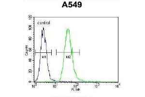 TNFR-S274 Antibody flow cytometric analysis of A549 cells (right histogram) compared to a negative control cell (left histogram). (TNFRSF1A anticorps  (AA 259-288))