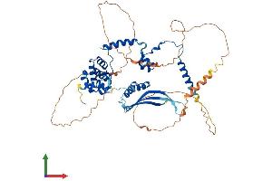 AlphaFold protein structure predicition of Human Recombinant NELFA Protein, UniprotID Q9H3P2