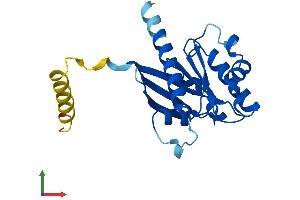 AlphaFold protein structure predicition of Human Recombinant ARL15 Protein, UniprotID Q9NXU5