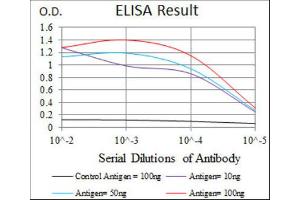 ELISA image for anti-Hyaluronan Synthase 3 (HAS3) antibody (ABIN1845757) (HAS3 anticorps)
