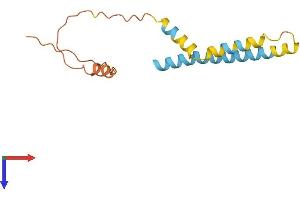 AlphaFold protein structure predicition of Human Recombinant IFITM3 Protein, UniprotID Q01628