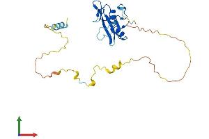 AlphaFold protein structure predicition of Mouse Recombinant Shf Protein, UniprotID Q8CG80
