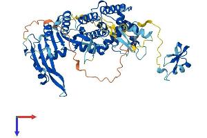 AlphaFold protein structure predicition of Human Recombinant PGBD3 Protein, UniprotID Q8N328