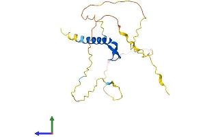AlphaFold protein structure predicition of Human Recombinant BCL7B Protein, UniprotID Q9BQE9