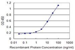 Detection limit for recombinant GST tagged B3GNT3 is 0.