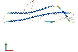 AlphaFold protein structure predicition of Mouse Recombinant Krt12 Protein, UniprotID Q64291