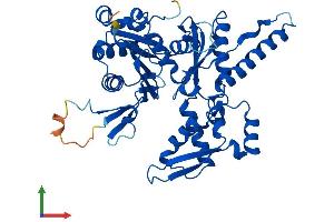 AlphaFold protein structure predicition of Human Recombinant ACTR3B Protein, UniprotID Q9P1U1