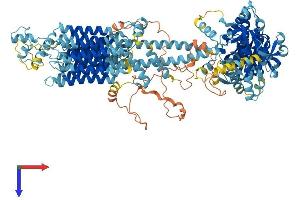 AlphaFold protein structure predicition of Mouse Recombinant Adcy6 Protein, UniprotID Q01341
