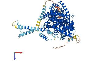 AlphaFold protein structure predicition of Mouse Recombinant Cpt1c Protein, UniprotID Q8BGD5