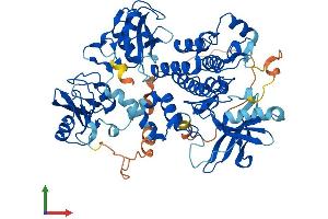 AlphaFold protein structure predicition of Mouse Recombinant Syk Protein, UniprotID P48025