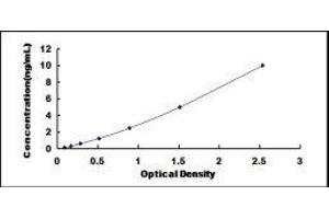 CD72 Molecule (CD72) ELISA Kit