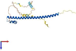 AlphaFold protein structure predicition of Mouse Recombinant Nrl Protein, UniprotID P54846