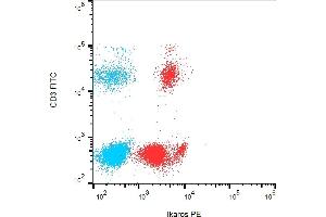 Flow cytometry analysis (intracellular staining) of Ikaros in human peripheral blood leukocytes with anti-Ikaros (4E9) PE.