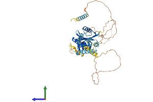 AlphaFold protein structure predicition of Human Recombinant CCM2 Protein, UniprotID Q9BSQ5