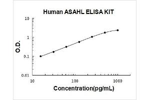 N-Acylethanolamine Acid Amidase (NAAA) ELISA Kit