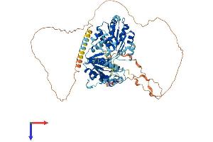 AlphaFold protein structure predicition of Human Recombinant DDX18 Protein, UniprotID Q9NVP1