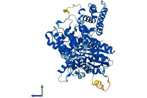 AlphaFold protein structure predicition of Mouse Recombinant Scfd2 Protein, UniprotID Q8BTY8