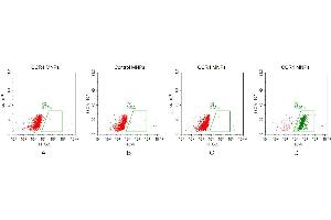FACS analysis of MNPs A.