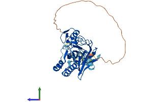 AlphaFold protein structure predicition of Mouse Recombinant Aptx Protein, UniprotID Q7TQC5