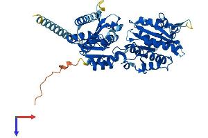 AlphaFold protein structure predicition of Mouse Recombinant Alg1 Protein, UniprotID Q921Q3