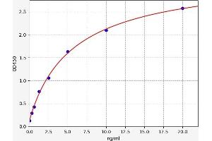 Typical standard curve (SYNGAP1 Kit ELISA)