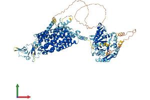 AlphaFold protein structure predicition of Human Recombinant SLC12A7 Protein, UniprotID Q9Y666