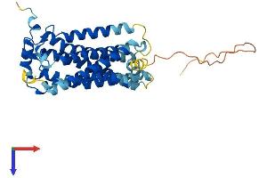 AlphaFold protein structure predicition of Mouse Recombinant S1pr2 Protein, UniprotID P52592