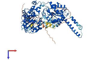 AlphaFold protein structure predicition of Human Recombinant GYS2 Protein, UniprotID P54840