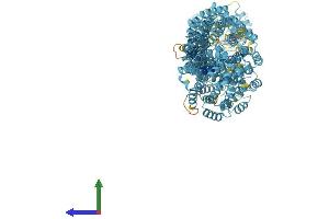 AlphaFold protein structure predicition of Human Recombinant TTC21A Protein, UniprotID Q8NDW8