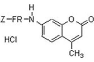 Image no. 1 for N-Cbz-Phe-Arg-AMC peptide (ABIN399631) (N-Cbz-Phe-Arg-AMC Peptide)