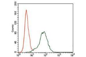Flow cytometric analysis of HepG2 cells using IGF2 mouse mAb (green) and negative control (red).
