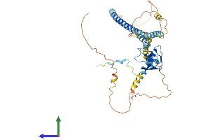AlphaFold protein structure predicition of Mouse Recombinant Pex13 Protein, UniprotID Q9D0K1