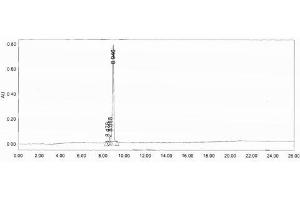Brain Natriuretic Peptide (BNP) peptide (BSA)
