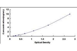 Protein Disulfide Isomerase Family A, Member 2 (PDIA2) ELISA Kit
