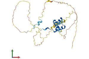 AlphaFold protein structure predicition of Mouse Recombinant Nkx6-3 Protein, UniprotID Q3UHX8