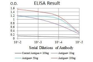 Black line: Control Antigen (100 ng), Purple line: Antigen(10 ng), Blue line: Antigen (50 ng), Red line: Antigen (100 ng), (C17orf53 anticorps  (AA 282-527))