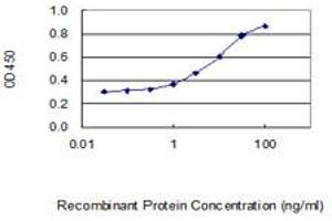 anti-Cytochrome C Oxidase Assembly Factor 6 Homolog (COA6) (AA 1-125) antibody