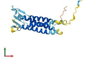 AlphaFold protein structure predicition of Mouse Recombinant Perp Protein, UniprotID Q9JK95