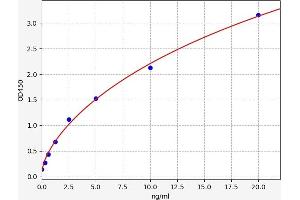 Insulin Receptor Substrate 1 (IRS1) ELISA Kit